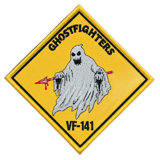 Strike Fighter Squadron 141